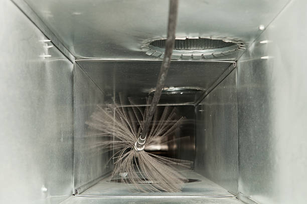 Best Air Duct Mold Removal  in Somerset, WI