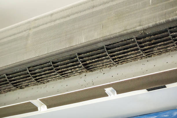 Best Affordable Air Duct Cleaning  in Somerset, WI